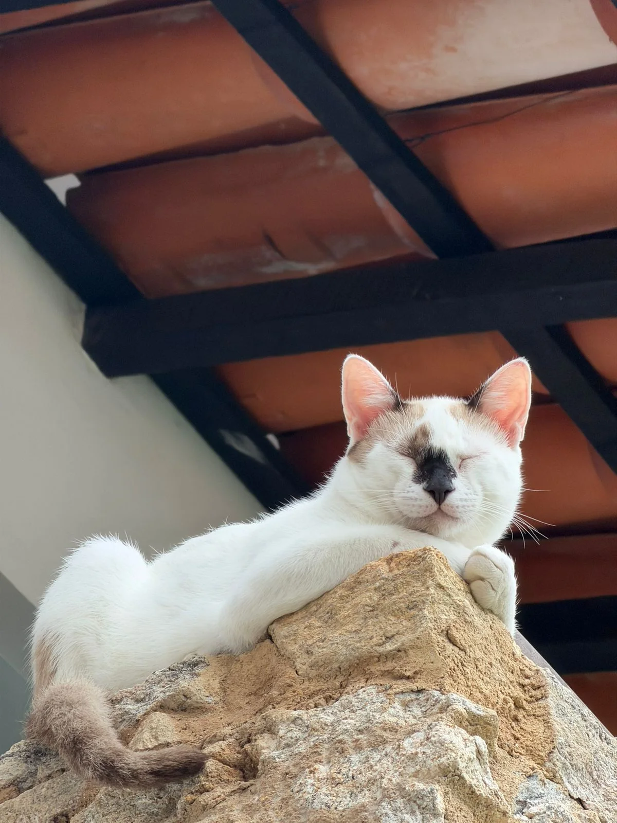 Arte & detalhes — Casa Arte Caborê