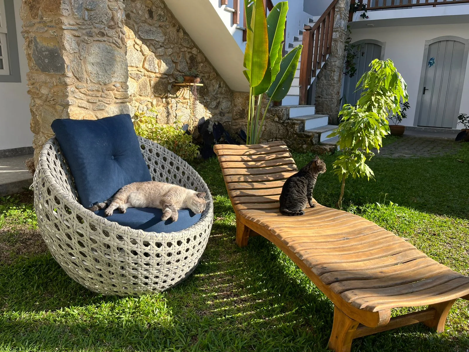 Jardim & piscina — Casa Arte Caborê