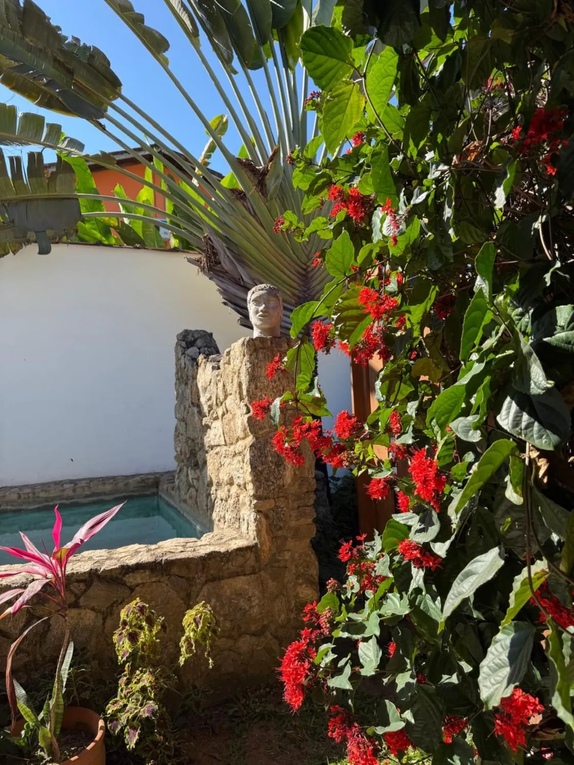 Flores e piscina